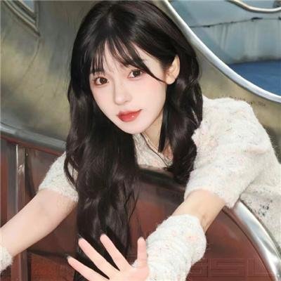 安妮·法兰克的最后七个月